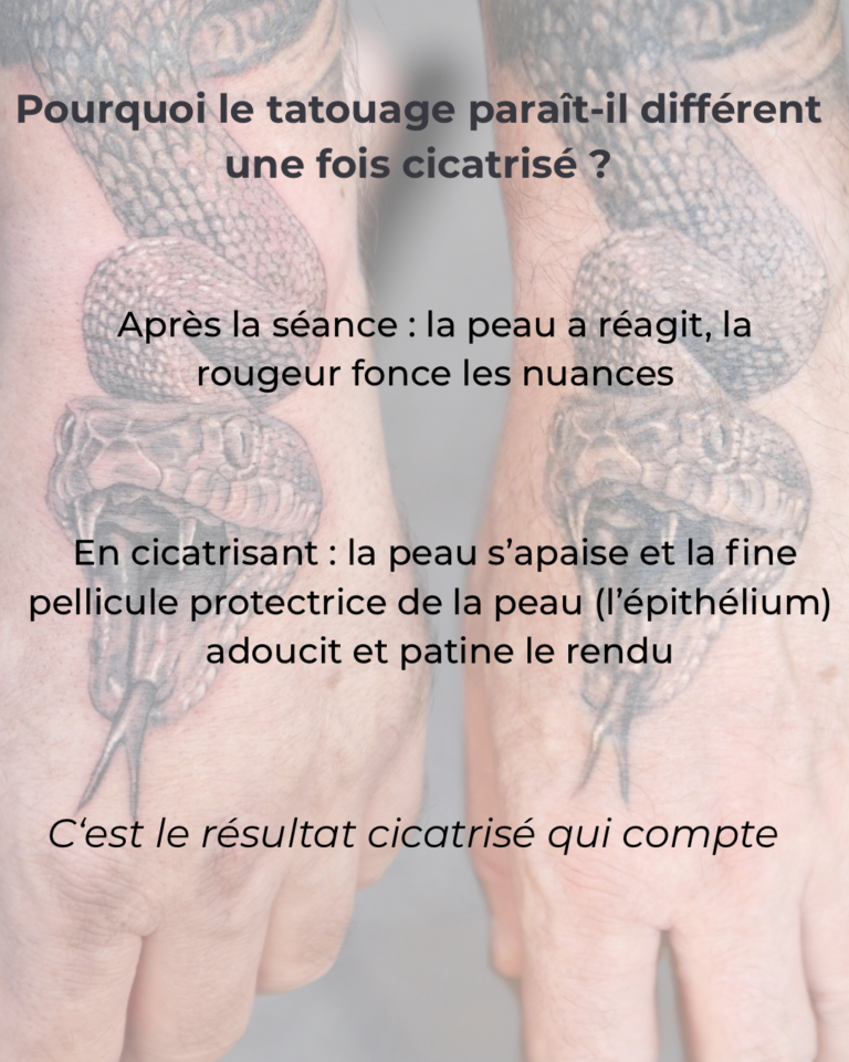 Frais - 3