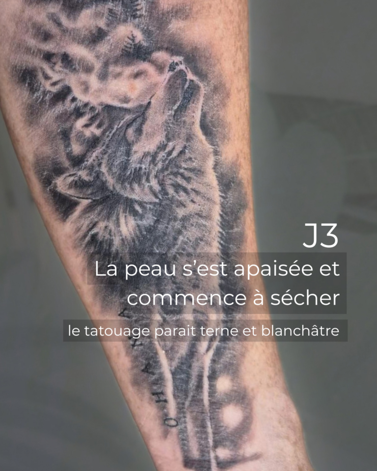 JOUR 3 - 3