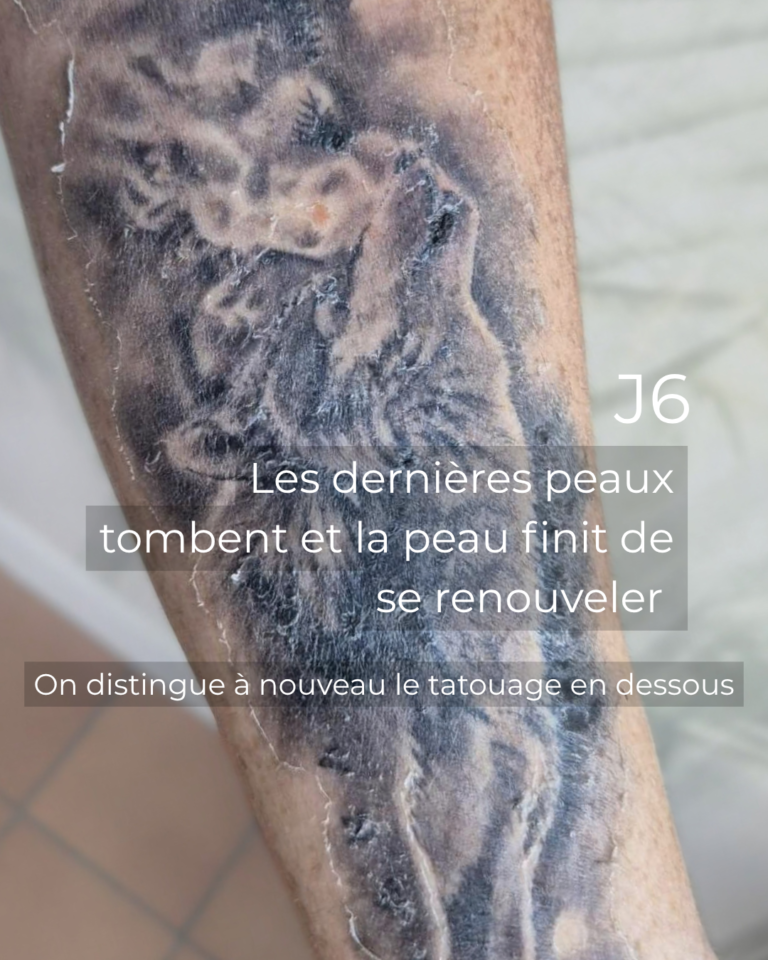 JOUR 3 - 6
